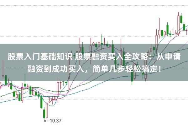 股票入门基础知识 股票融资买入全攻略：从申请融资到成功买入，简单几步轻松搞定！