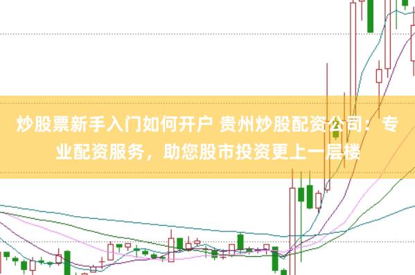 炒股票新手入门如何开户 贵州炒股配资公司：专业配资服务，助您股市投资更上一层楼