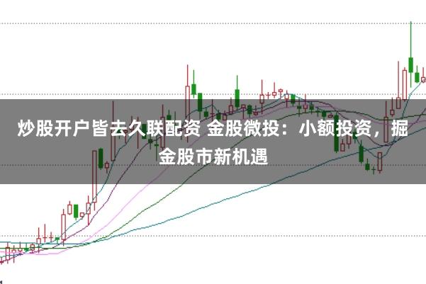 炒股开户皆去久联配资 金股微投：小额投资，掘金股市新机遇