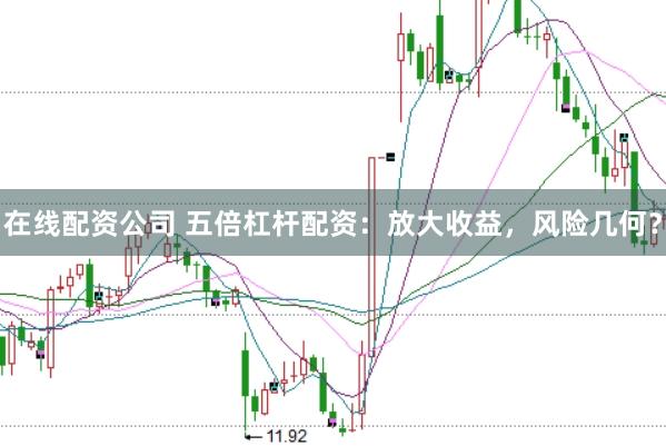 在线配资公司 五倍杠杆配资：放大收益，风险几何？