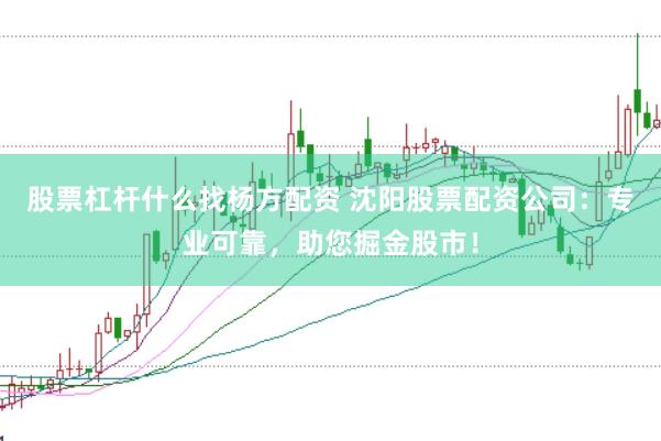 股票杠杆什么找杨方配资 沈阳股票配资公司:专业可靠,助您掘金股市!
