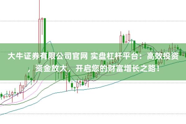 大牛证券有限公司官网 实盘杠杆平台：高效投资，资金放大，开启您的财富增长之路！