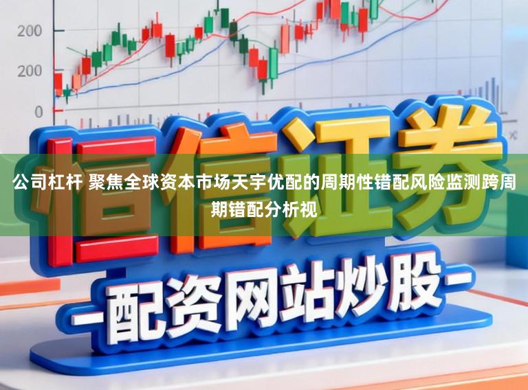 公司杠杆 聚焦全球资本市场天宇优配的周期性错配风险监测跨周期错配分析视