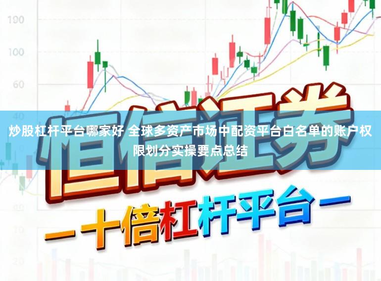 炒股杠杆平台哪家好 全球多资产市场中配资平台白名单的账户权限划分实操要点总结