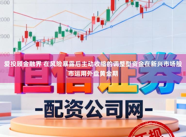 爱投顾金融界 在风险暴露后主动收缩的调整型资金在新兴市场股市运用外盘黄金期