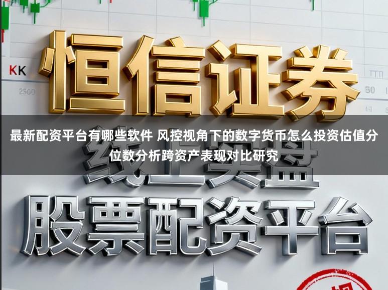 最新配资平台有哪些软件 风控视角下的数字货币怎么投资估值分位数分析跨资产表现对比研究